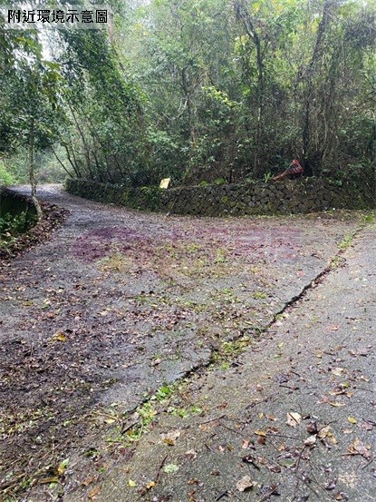 鹿谷初鄉臨路已整路開發農地房屋室內格局與周邊環境