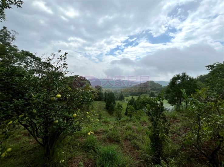 新埔山谷莊園農地房屋室內格局與周邊環境