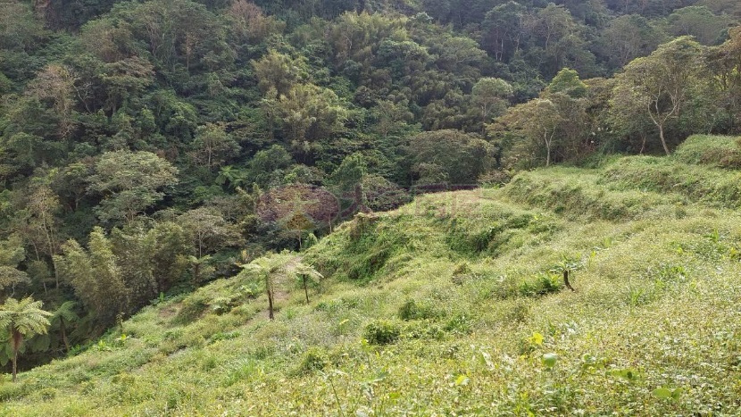 橫山便宜山坡地2454坪房屋室內格局與周邊環境