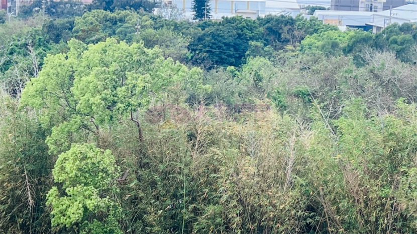 香山財神爺發財美農地房屋室內格局與周邊環境
