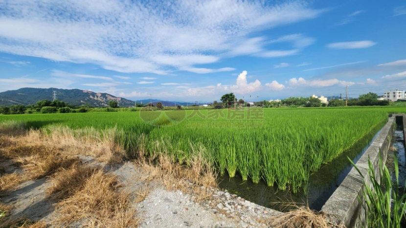 蝶花戀安之居房屋室內格局與周邊環境