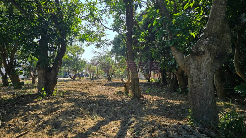 斗六工業區榴南路農地+建地房屋室內格局與周邊環境
