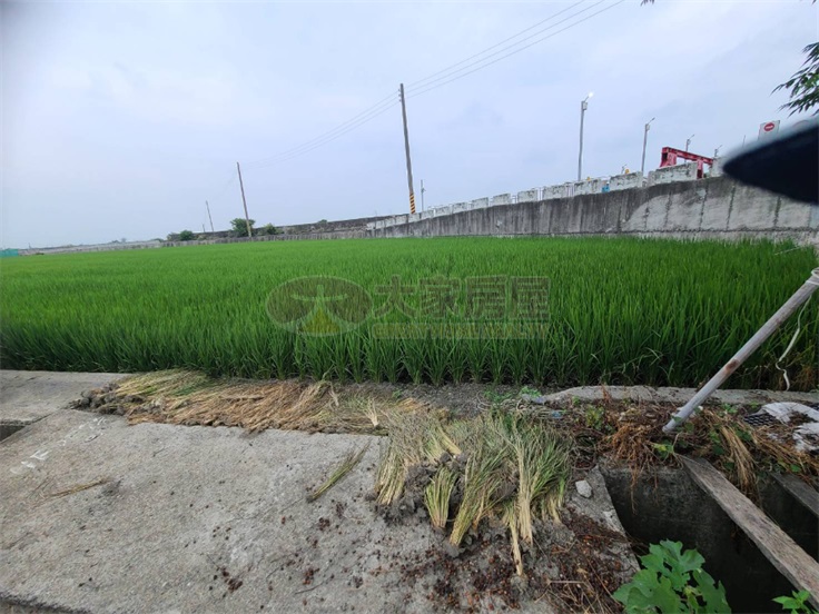二崙農地房屋室內格局與周邊環境