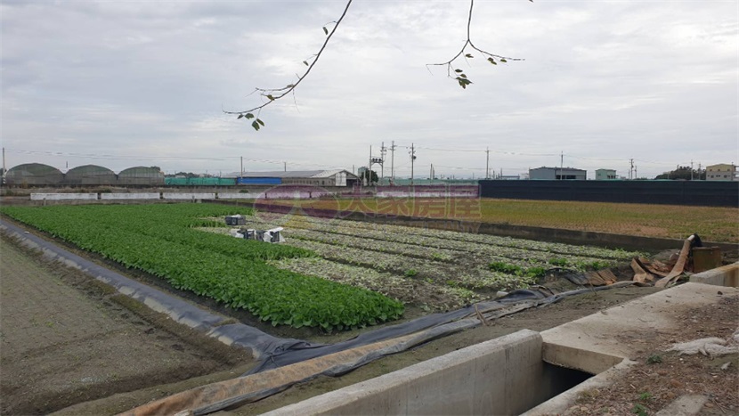 二崙永定厝農地房屋室內格局與周邊環境
