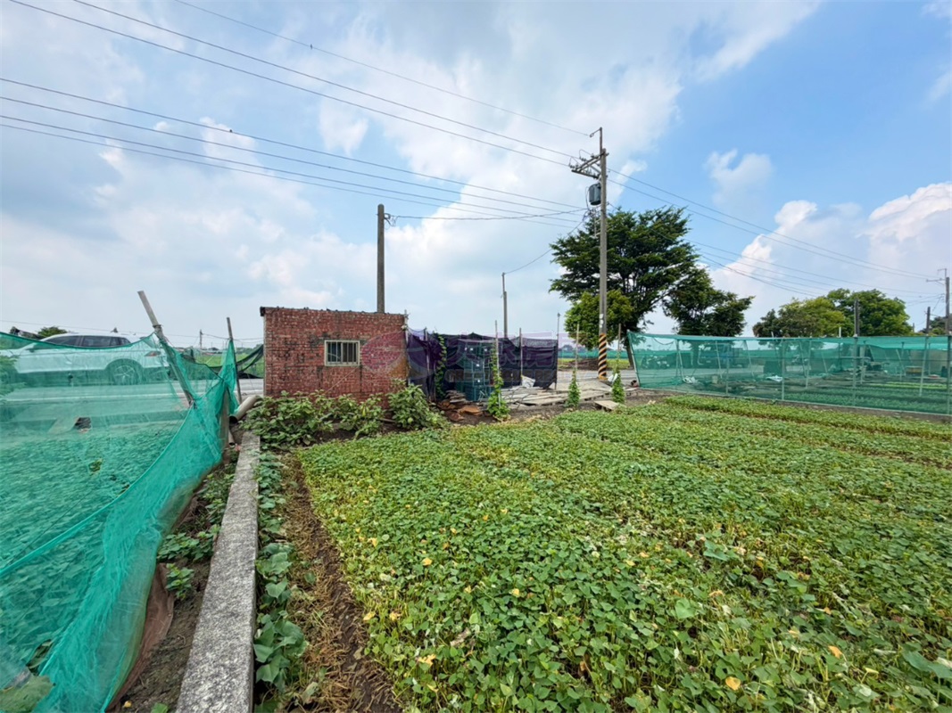 二崙大義崙1分8農保田房屋室內格局與周邊環境