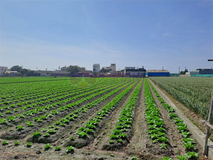 二崙田尾5.5分優美農地房屋室內格局與周邊環境
