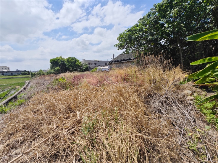 低價售★大安大面積住宅區建地房屋室內格局與周邊環境