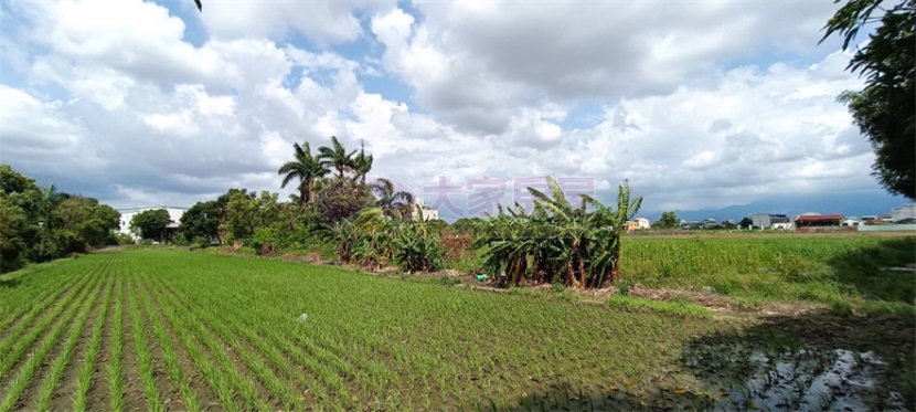 斗南東仁段都內農地(B)房屋室內格局與周邊環境