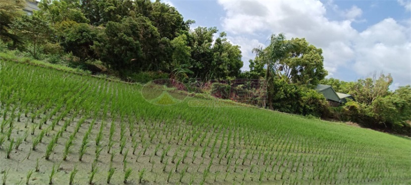 斗南東仁段都內農地(B)房屋室內格局與周邊環境