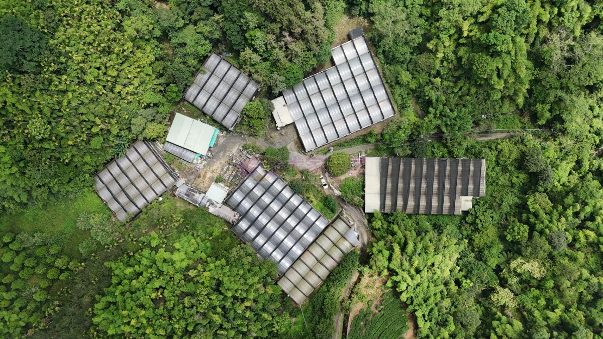 嘉義梅山太平0.52分農地房屋室內格局與周邊環境