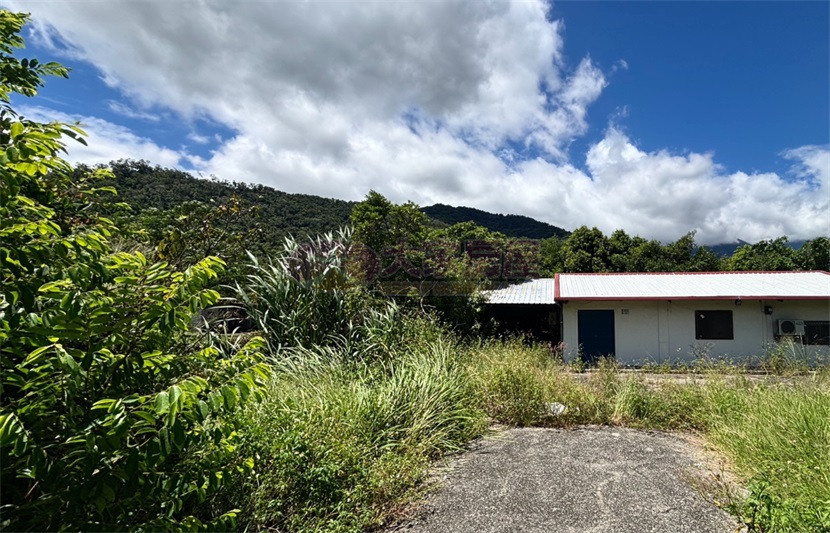 池上萬朝百坪建地房屋室內格局與周邊環境