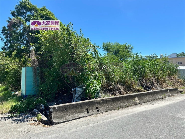 知本悠靜建地D建40房屋室內格局與周邊環境