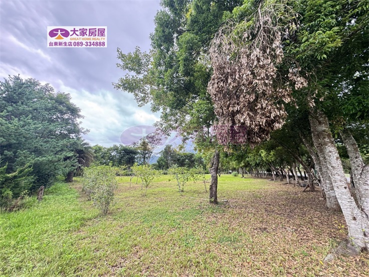 鹿野龍田綠意庭園農地C農127房屋室內格局與周邊環境