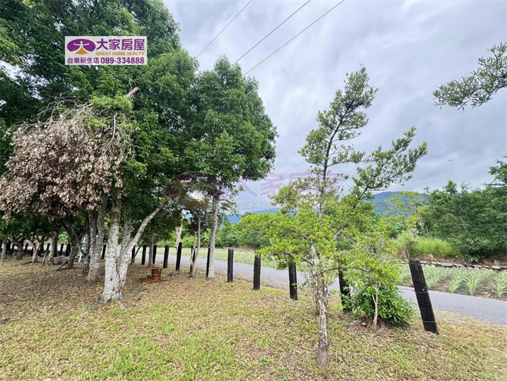 鹿野龍田綠意庭園農地C農127房屋室內格局與周邊環境