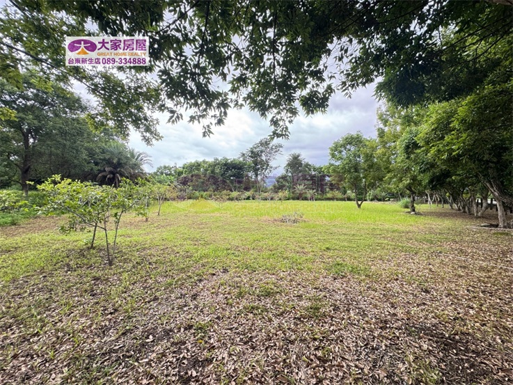 鹿野龍田綠意庭園農地C農127房屋室內格局與周邊環境