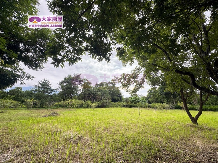 鹿野龍田綠意庭園農地C農127房屋室內格局與周邊環境