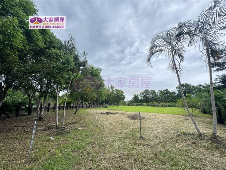 鹿野龍田綠意庭園農地C農127房屋室內格局與周邊環境