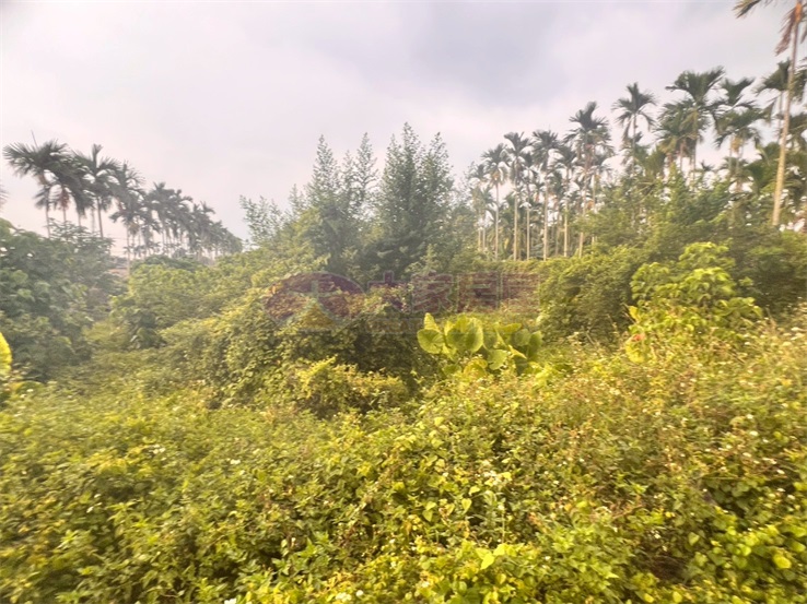 竹田鄉村農地(1)房屋室內格局與周邊環境