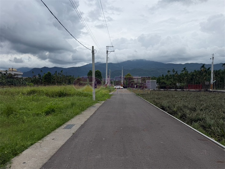 龍泉市中心都農房屋室內格局與周邊環境