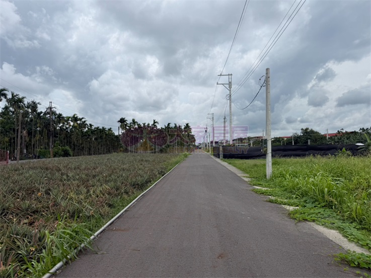 龍泉市中心都農房屋室內格局與周邊環境