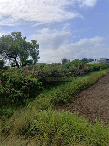 專約|新化區臨路大面寬農地房屋室內格局與周邊環境