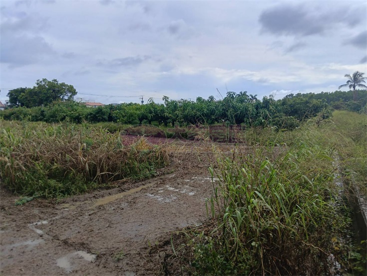 專約|新化區臨路大面寬農地房屋室內格局與周邊環境