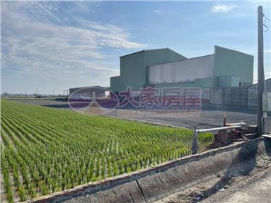 水林灣東段持分農地